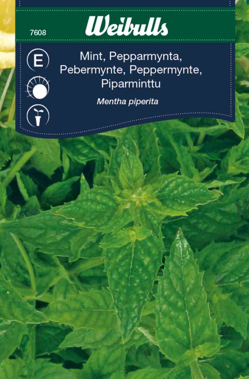 Weibulls Mynta, peppar-
