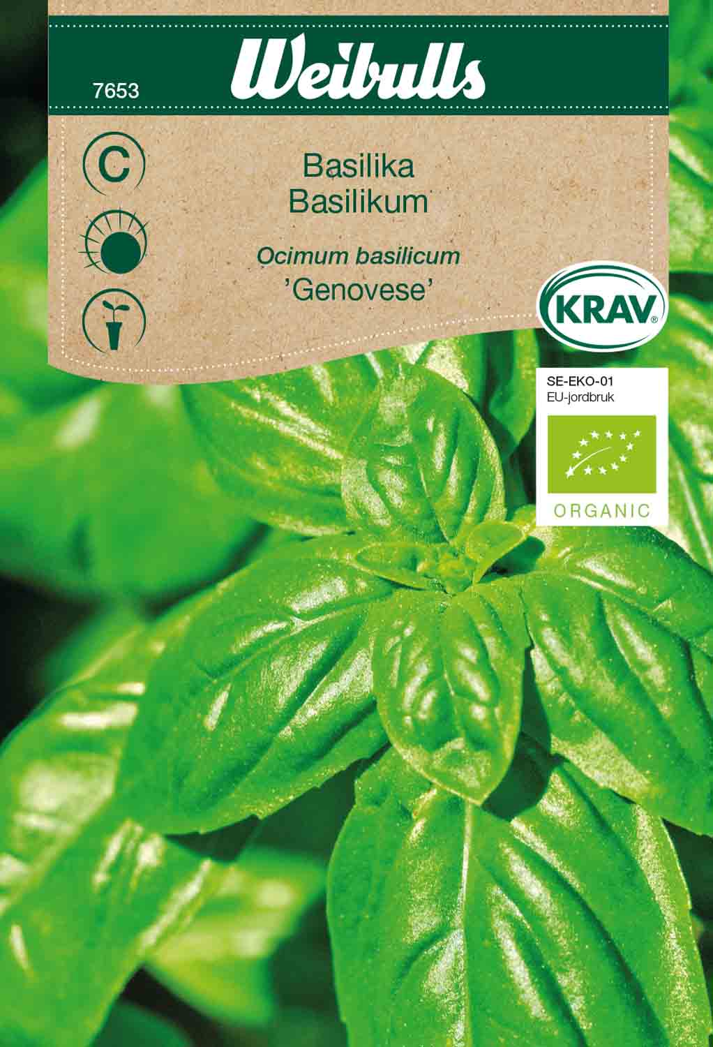 Weibulls Basilika KRAV 'Genovese'
