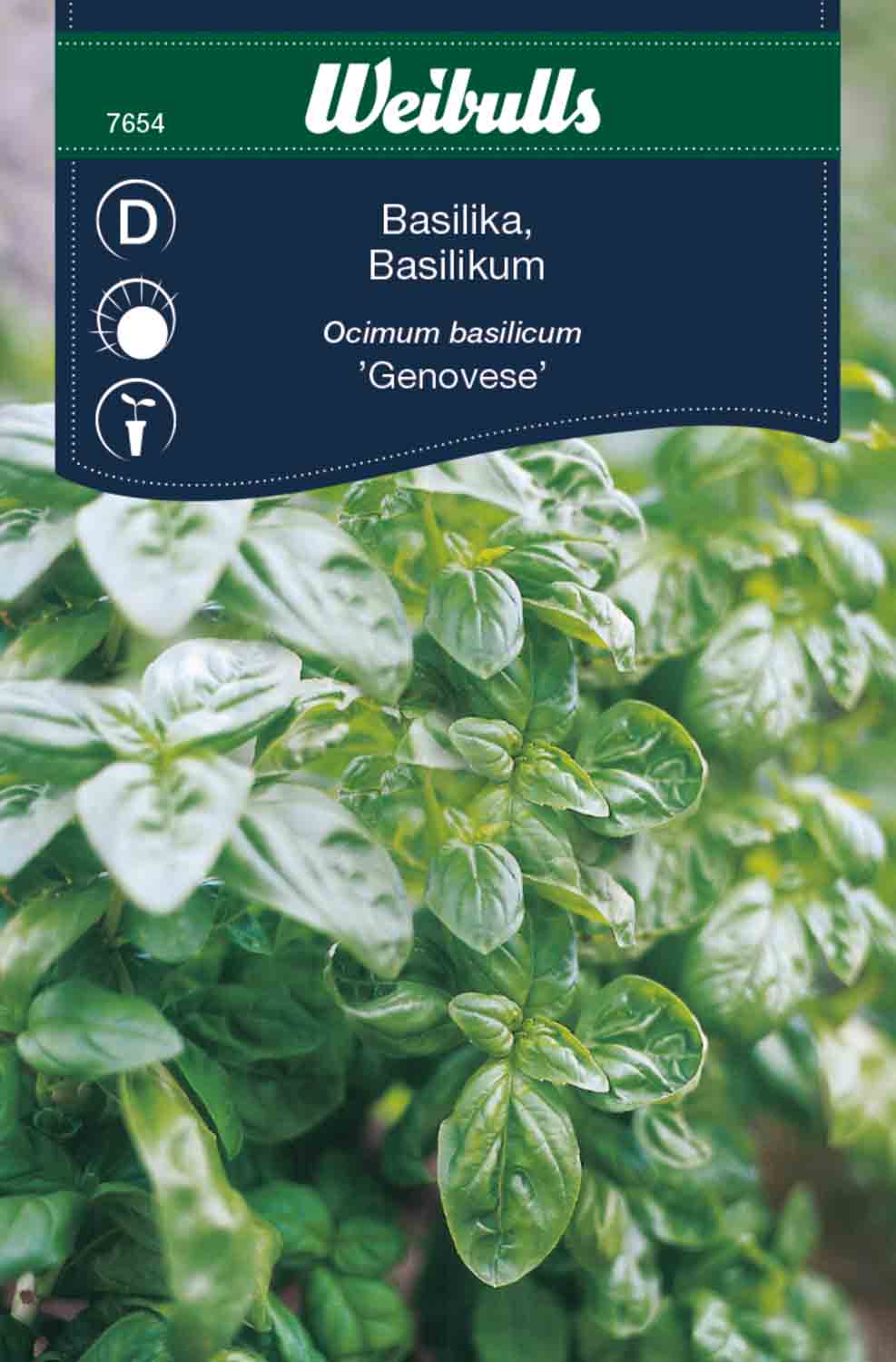 Weibulls Basilika 'Genovese'