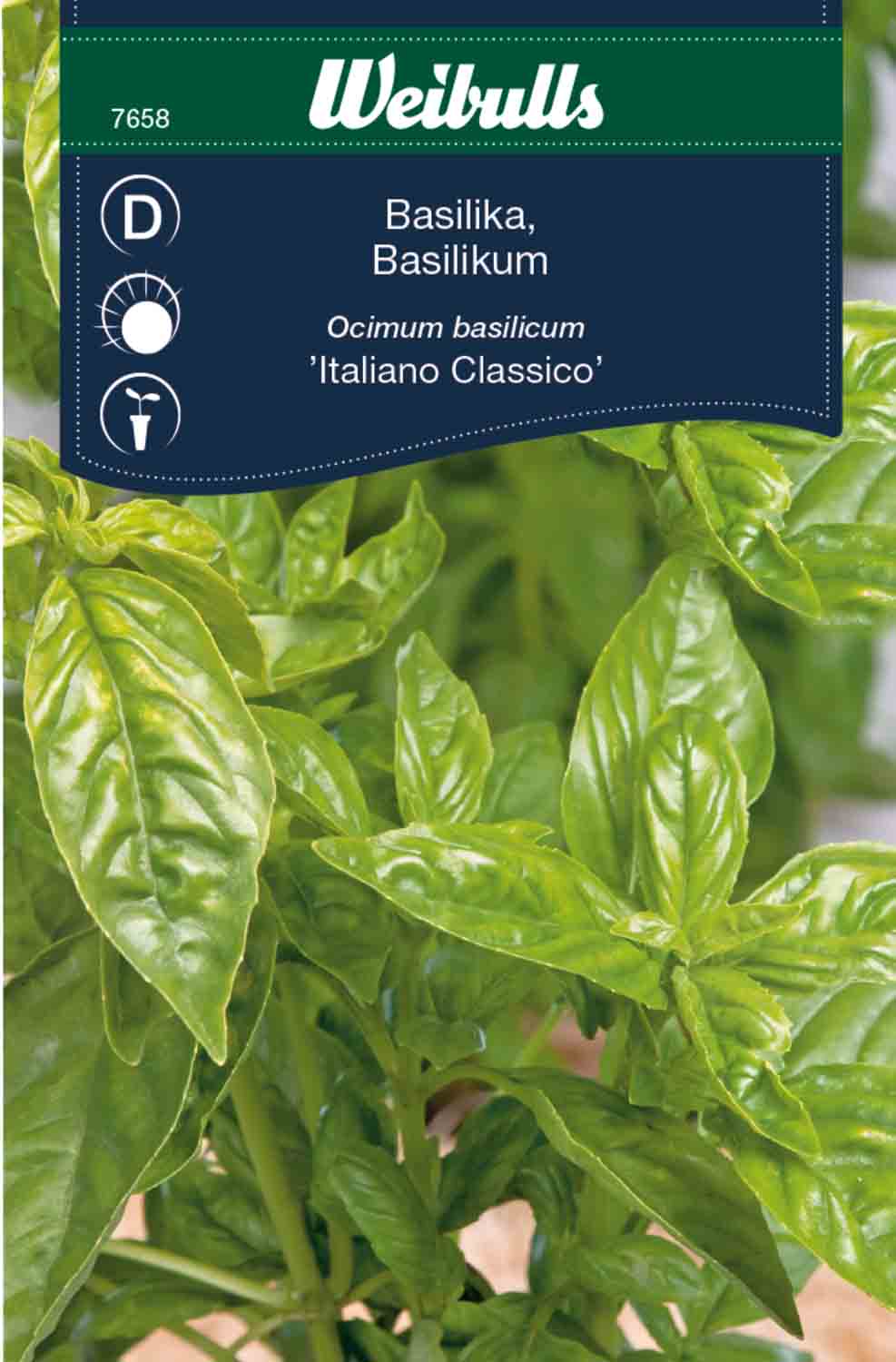 Weibulls Basilika 'Italiano Classico'