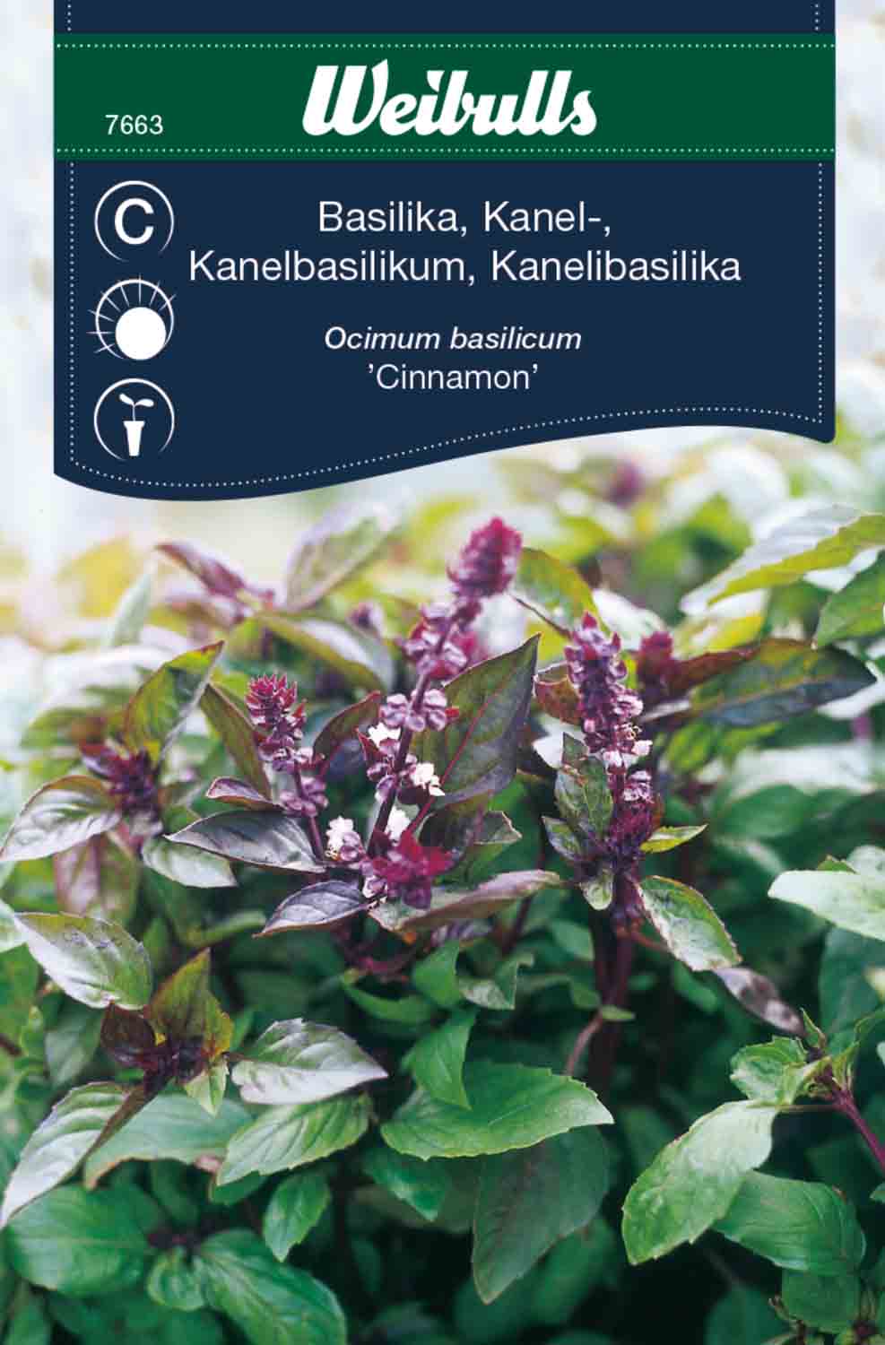 Weibulls Basilika, kanel- 'Cinnamon'