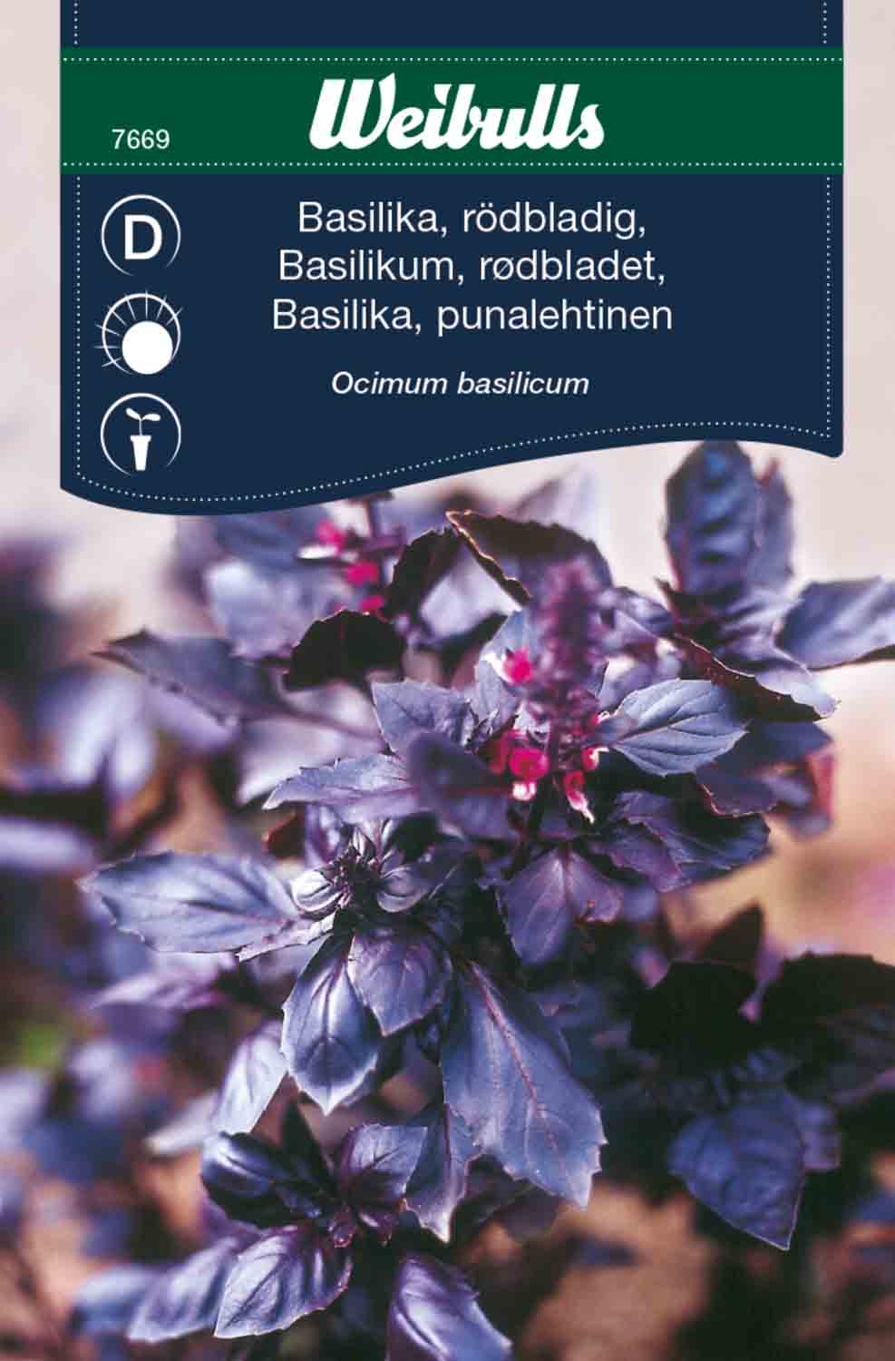 Weibulls Basilika, rödbladig 'Opal'