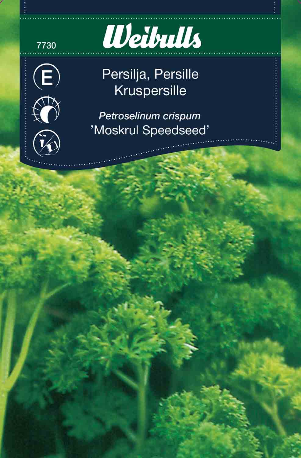 Weibulls Persilja, krus, snabbgroende 'Moskrul '