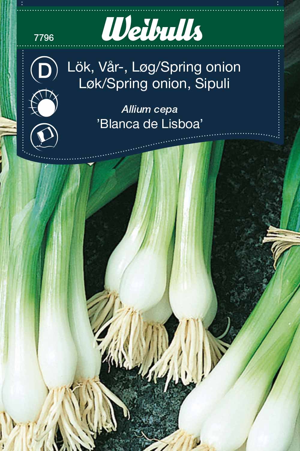 Weibulls Lök, vår-/pip- 'Blanca de Lisboa'