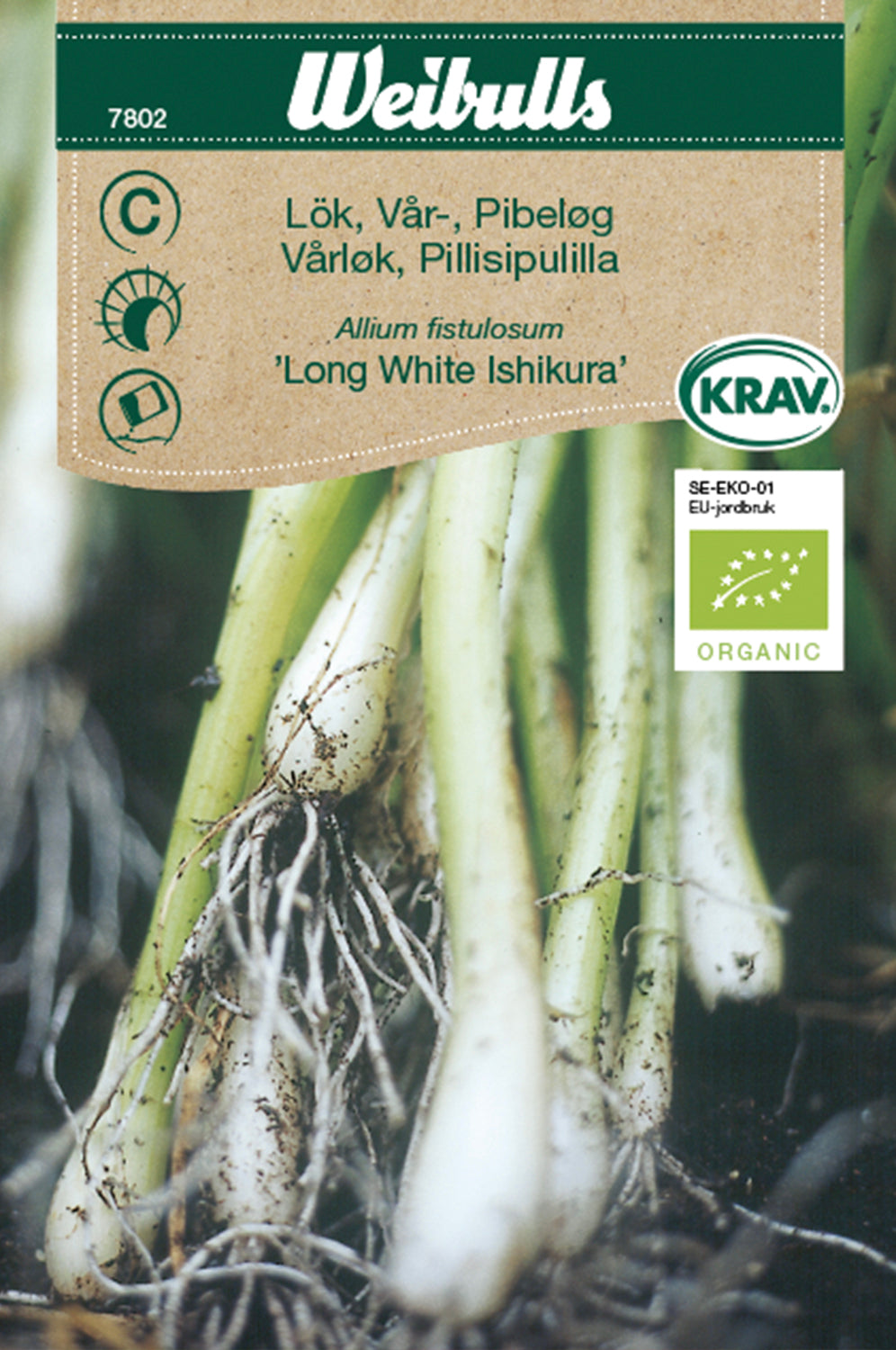 Weibulls Lök, vår-/pip- KRAV  'Long White Ishikura'