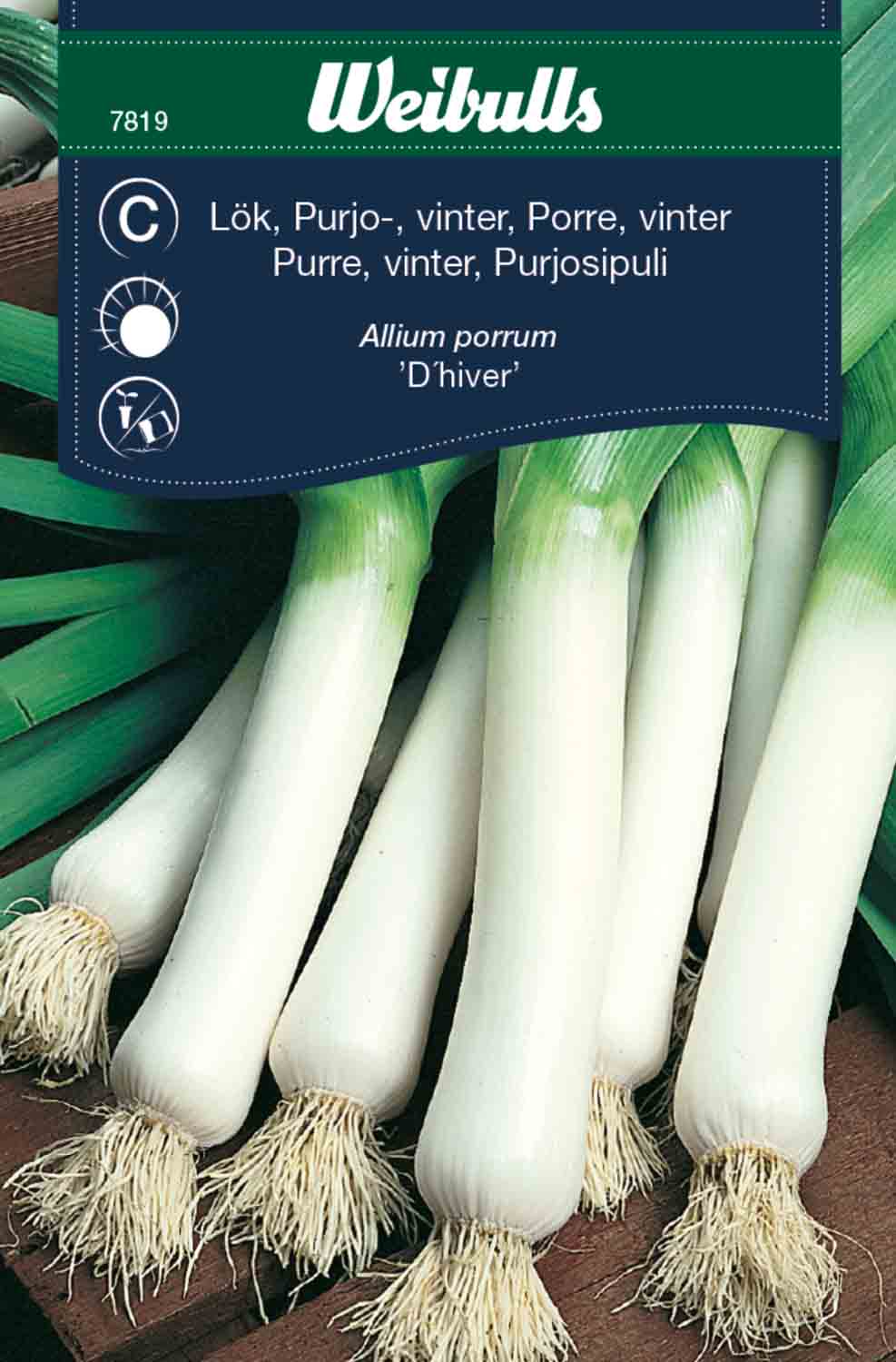 Weibulls Lök, purjo-, vinter 'D´hiver 2'