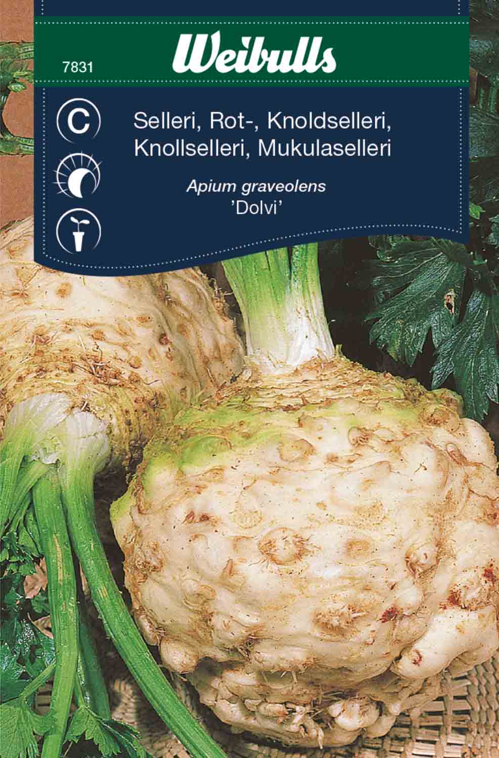 Weibulls Selleri, rot- 'Dolvi'