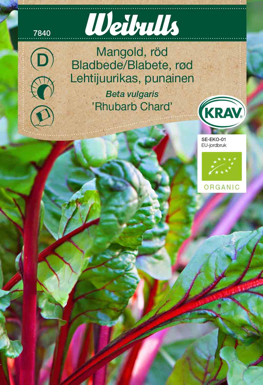 Weibulls Mangold, röd KRAV 'Rhubarb Chard'