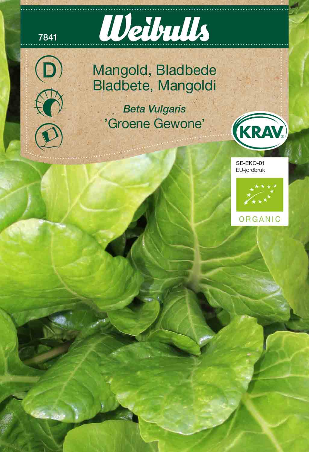 Weibulls Mangold, vit KRAV 'Groene Gewone'