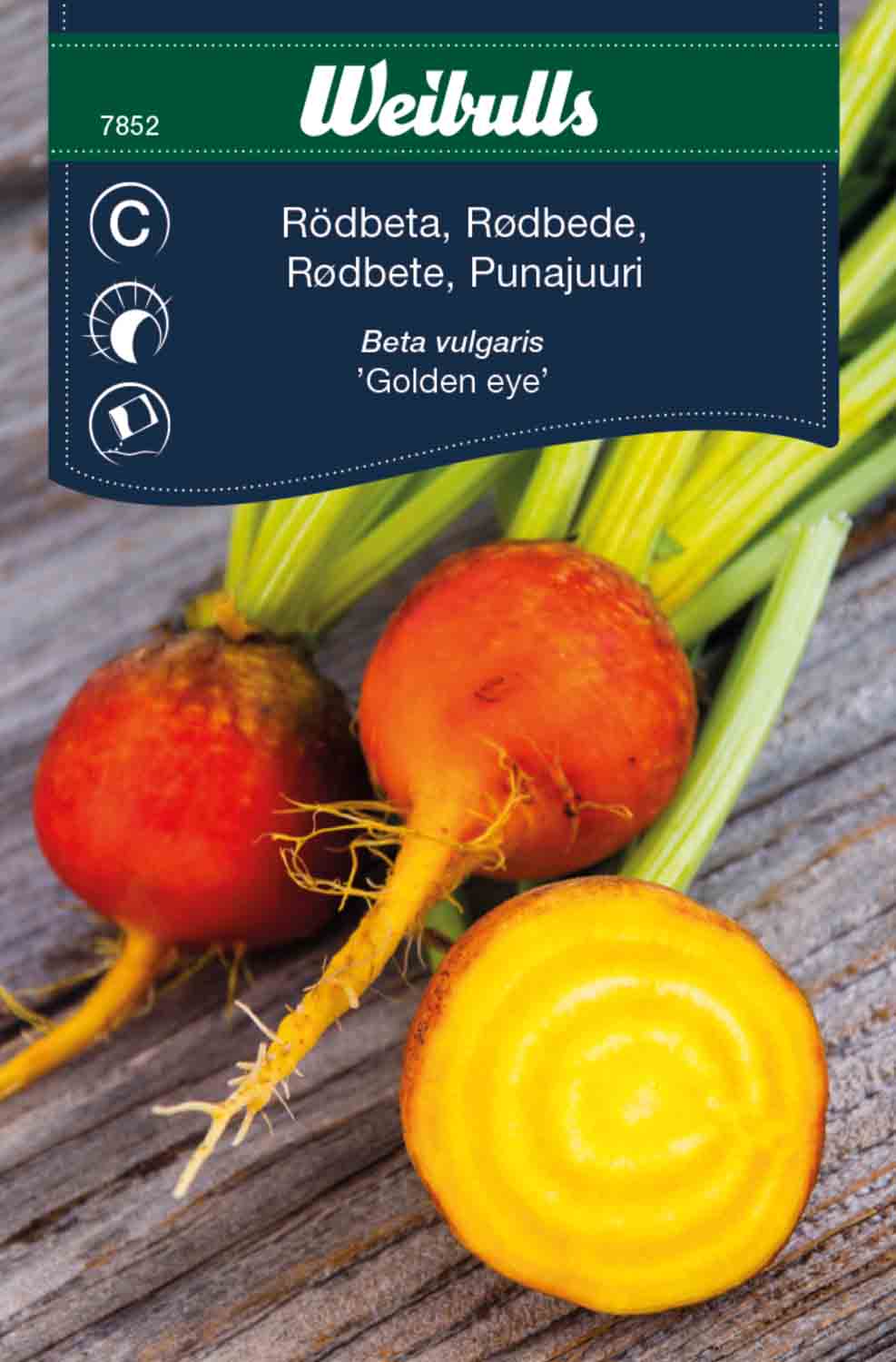 Weibulls Rödbeta, gul  'Golden eye'