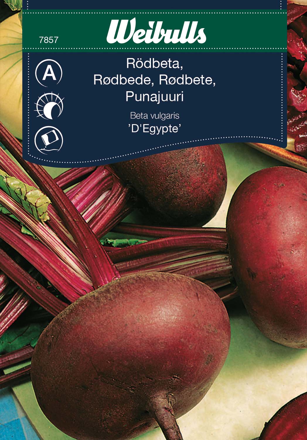 Weibulls Rödbeta 'D'Egypte'