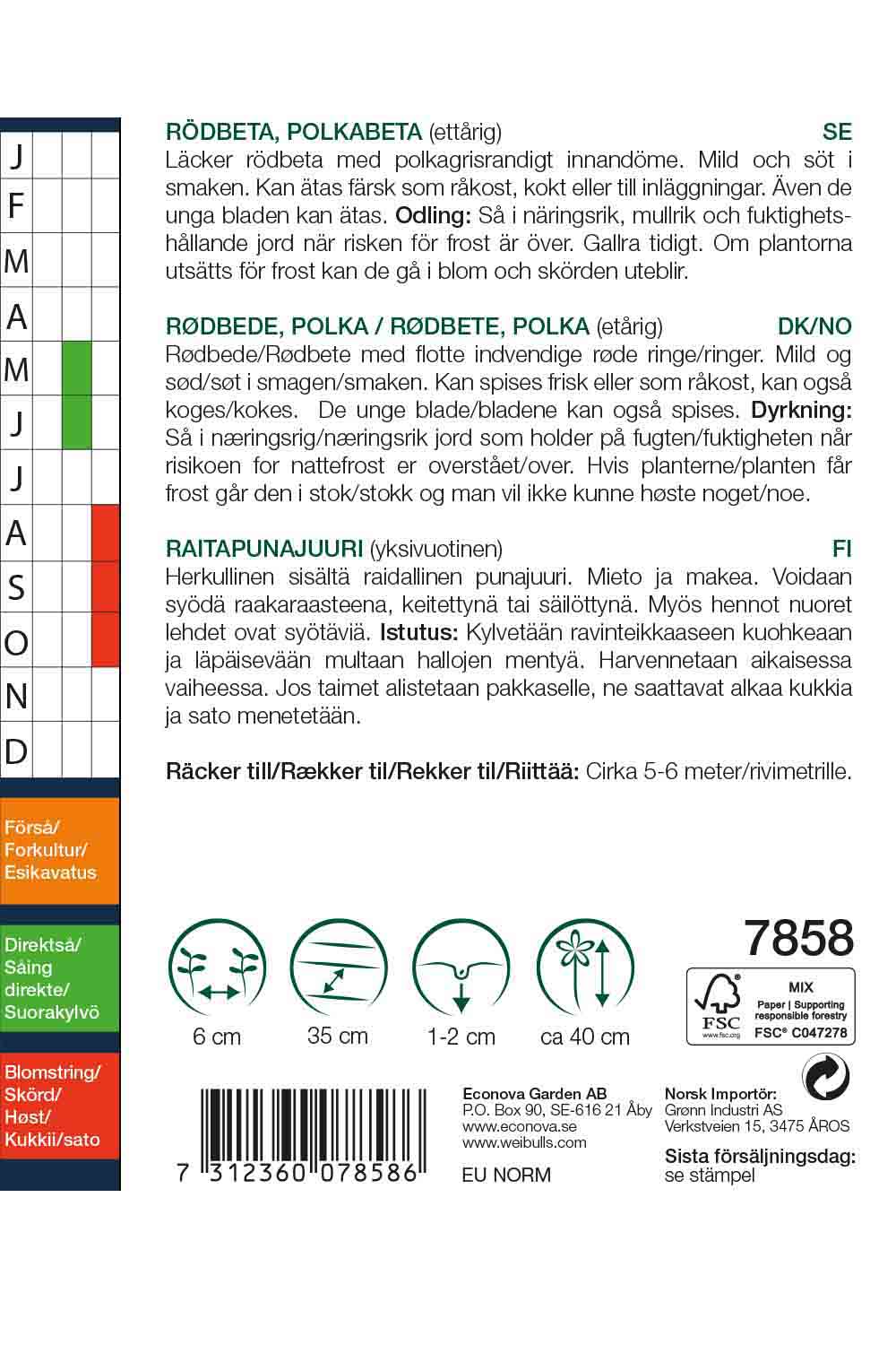 Weibulls Rödbeta, polka- 'Chioggia'