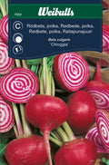 Weibulls Rödbeta, polka- 'Chioggia'