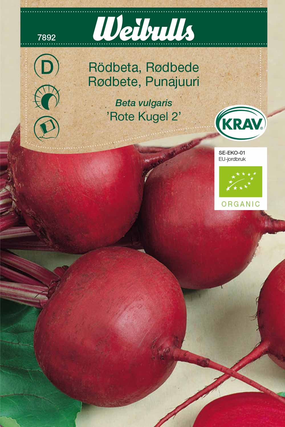 Weibulls Rödbeta KRAV 'Rote Kugel 2'