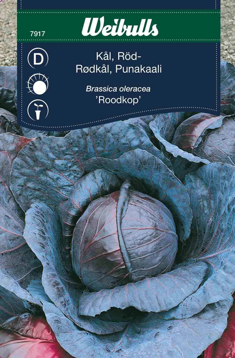 Weibulls Kål, röd 'Roodkop'