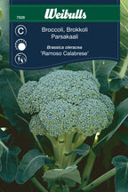 Weibulls Kål, broccoli 'Ramoso Calabrese'