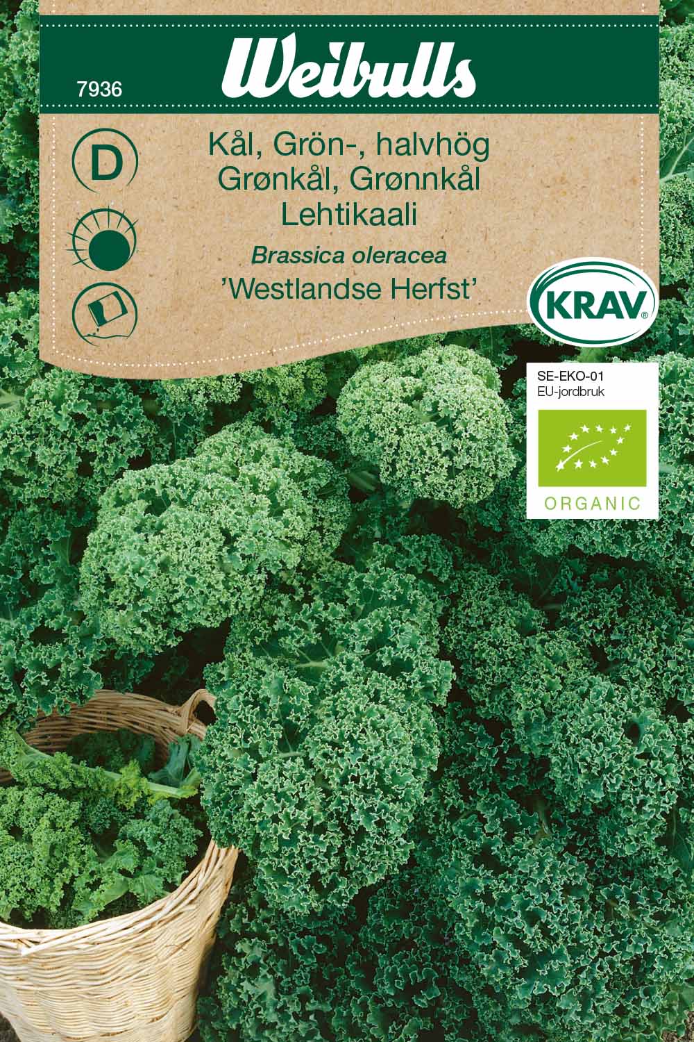 Weibulls Kål, grön- KRAV  'Westlandse Herfst'