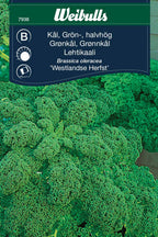 Weibulls Kål, grön-, halvhög 'Westlandse Herfst'
