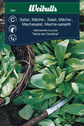 Weibulls Sallat, mâche- 'Verte de Cambrai'