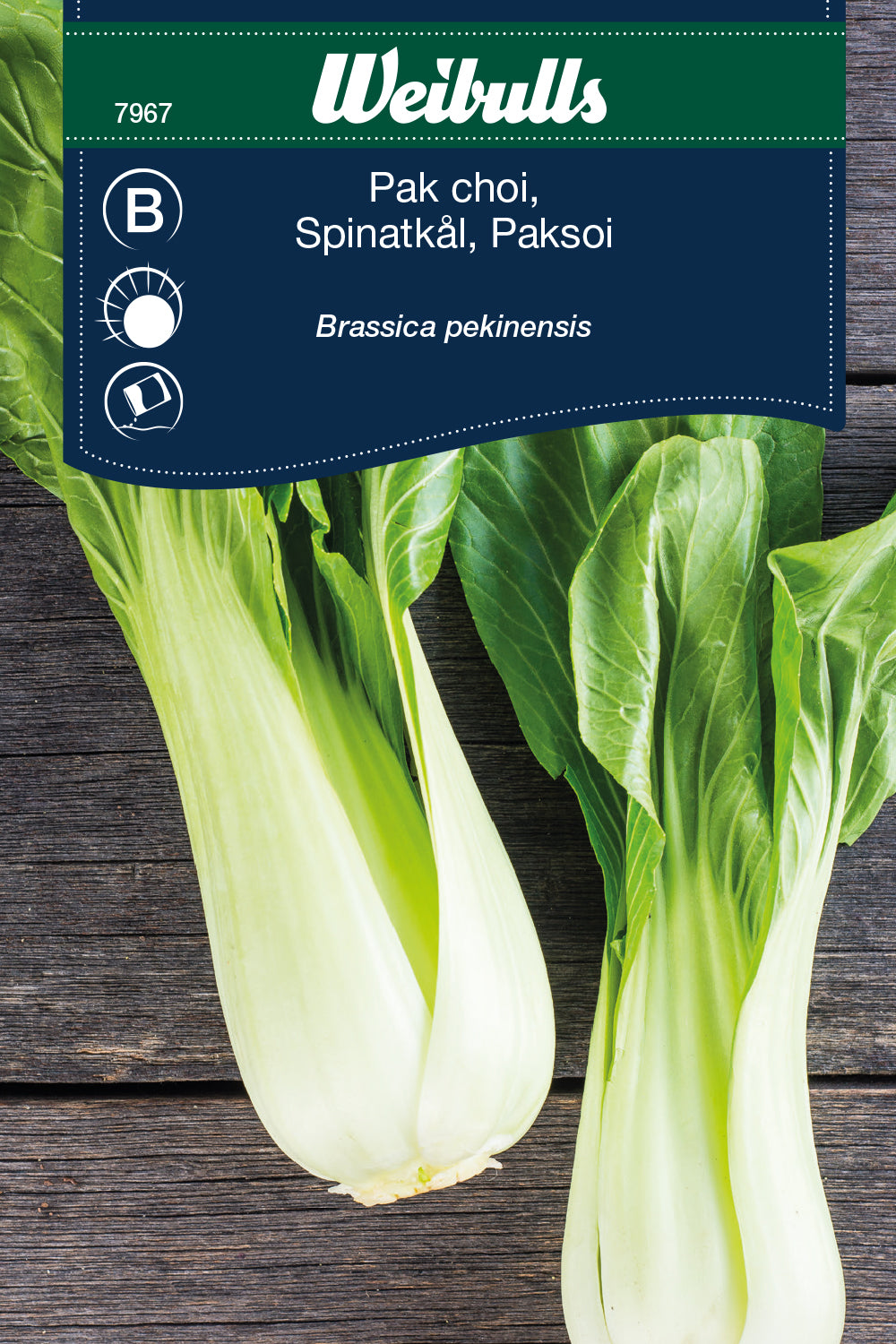 Weibulls Kål, Pak choi