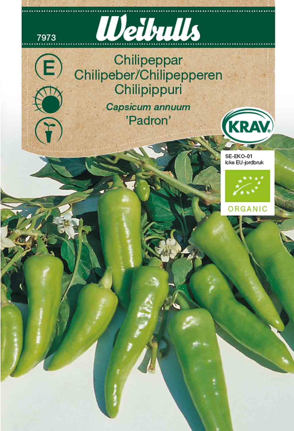 Weibulls Chilipeppar KRAV 'Padron '