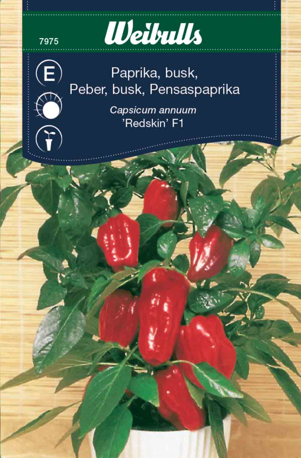 Weibulls Paprika, busk- 'Redskin F1'