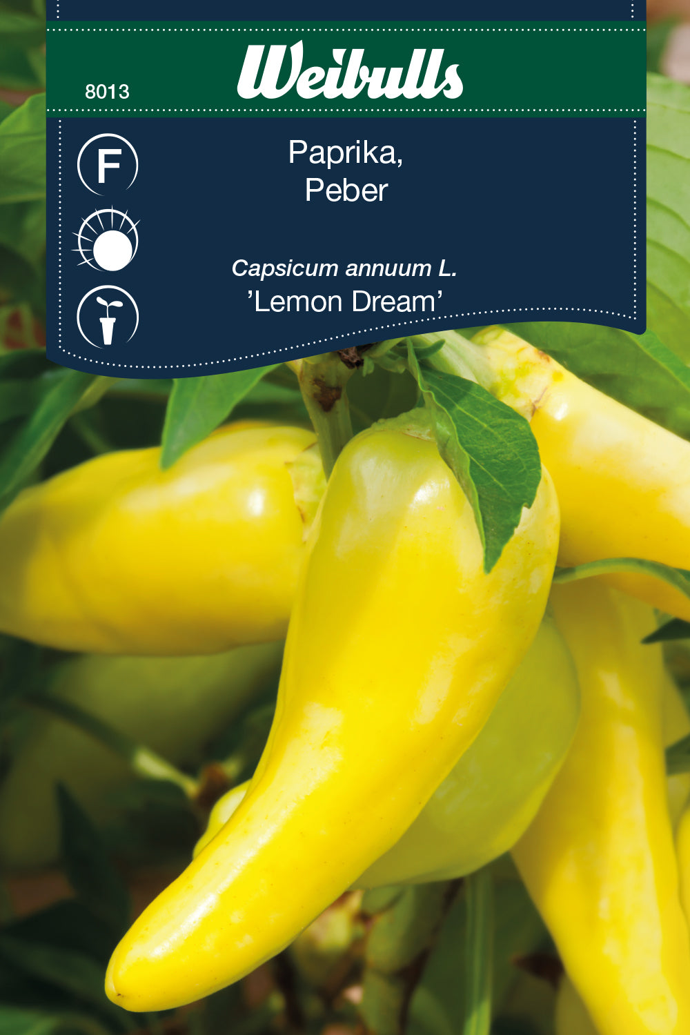 Weibulls Paprika 'Lemon Dream'