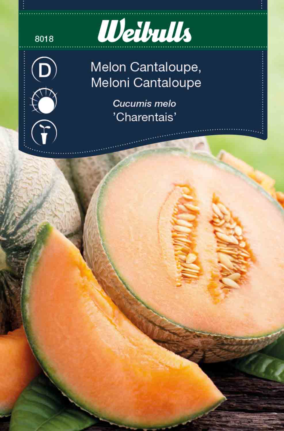 Weibulls Melon, cantaloupe- 'Charentais'