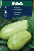 Weibulls Squash  'Genovese'