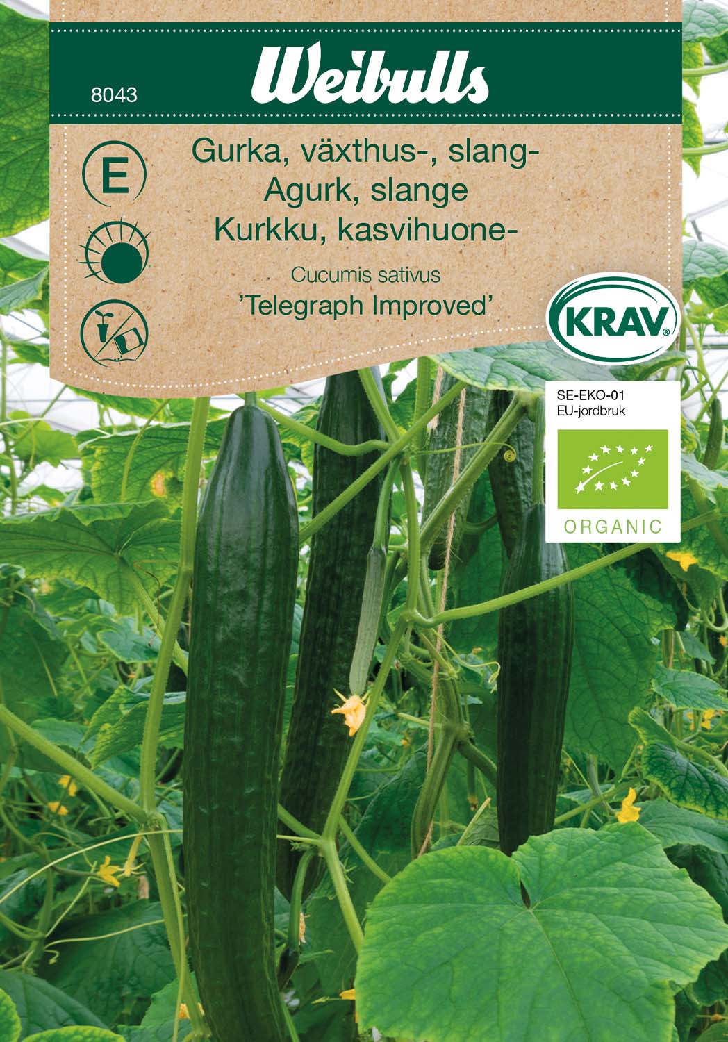 Weibulls Gurka, växthus- slang- KRAV 'Telegraph Improved'