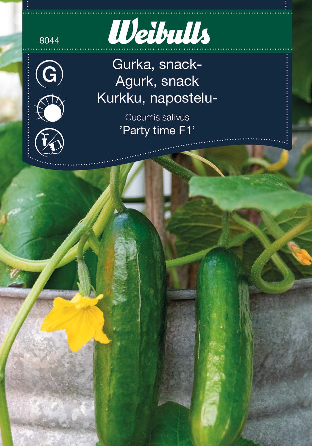 Weibulls Gurka, snack-  'Party time' F1