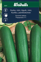 Weibulls Gurka, mini-, växthus- 'Passandra F1'