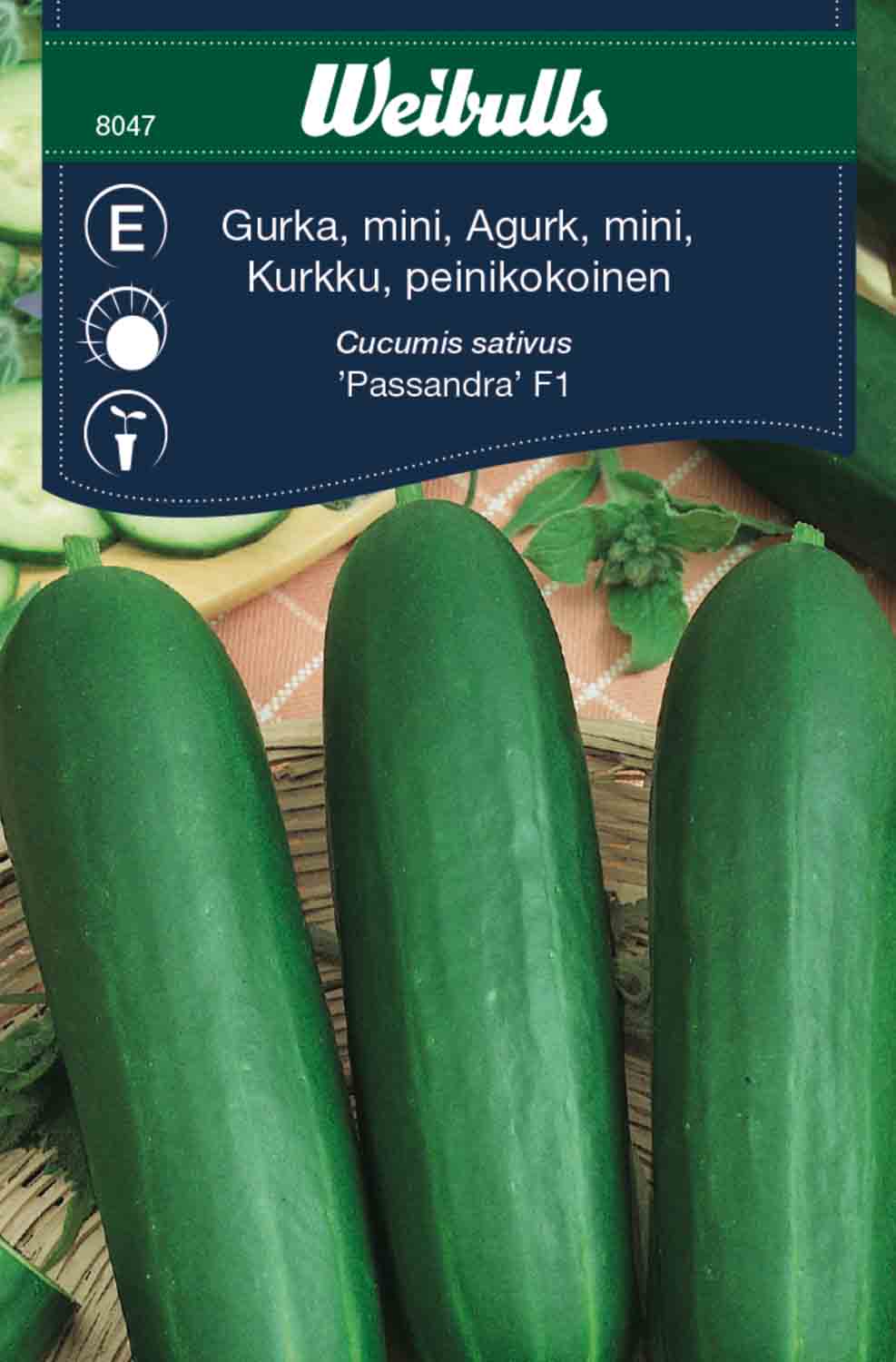 Weibulls Gurka, mini-, växthus- 'Passandra F1'