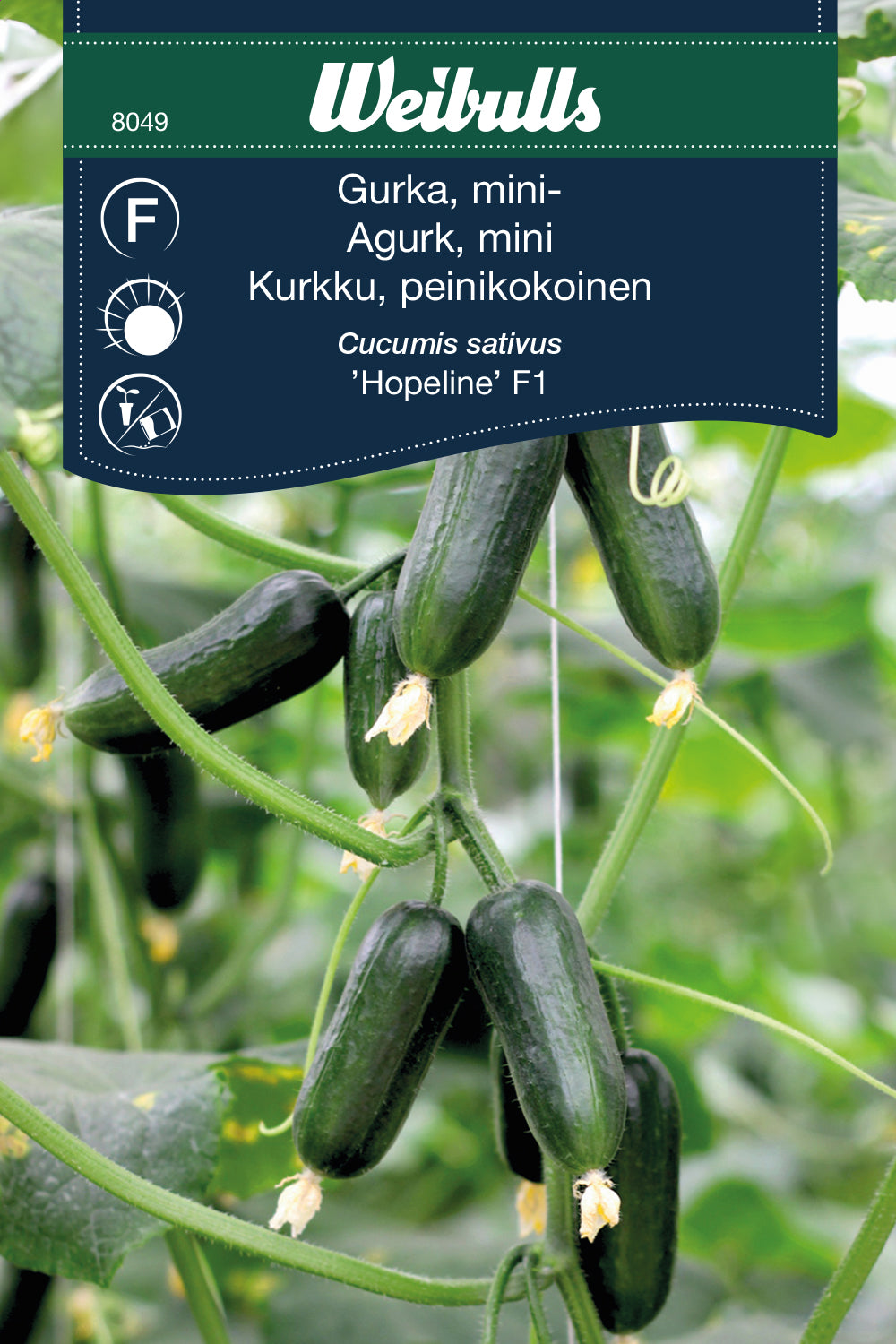 Weibulls Gurka, mini-  'Hopeline' F1