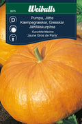 Weibulls Pumpa, jätte- 'Jaune Gros de Paris'