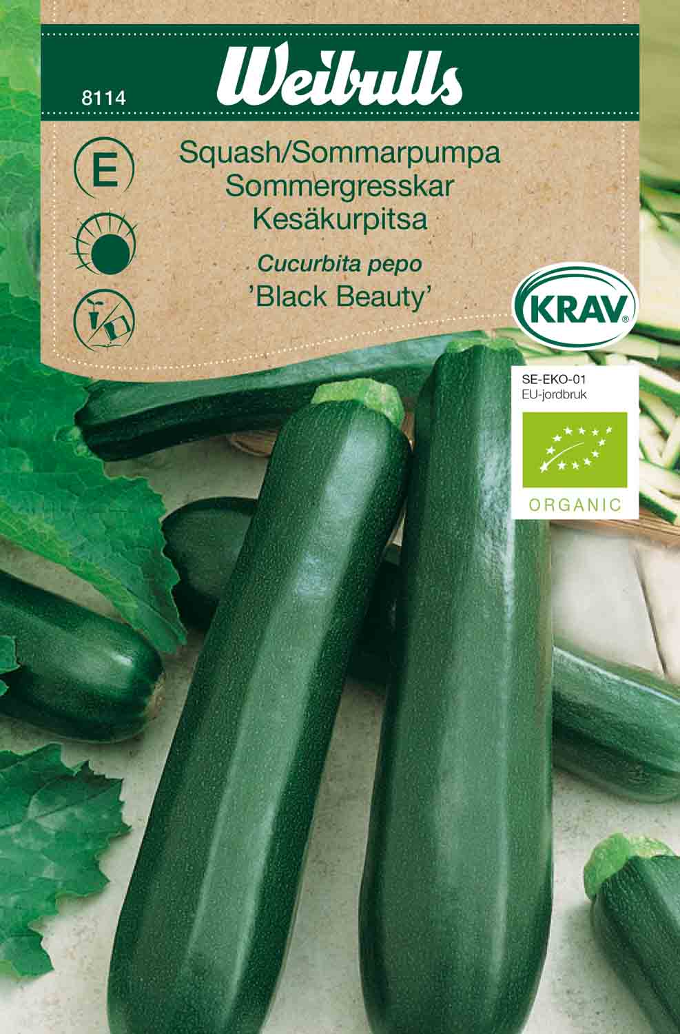 Weibulls Squash/Sommarpumpa KRAV 'Black Beauty'