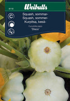 Weibulls Squash, sommar- 'Disco'