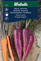 Weibulls Morot, sommar- 'Purple dragon'