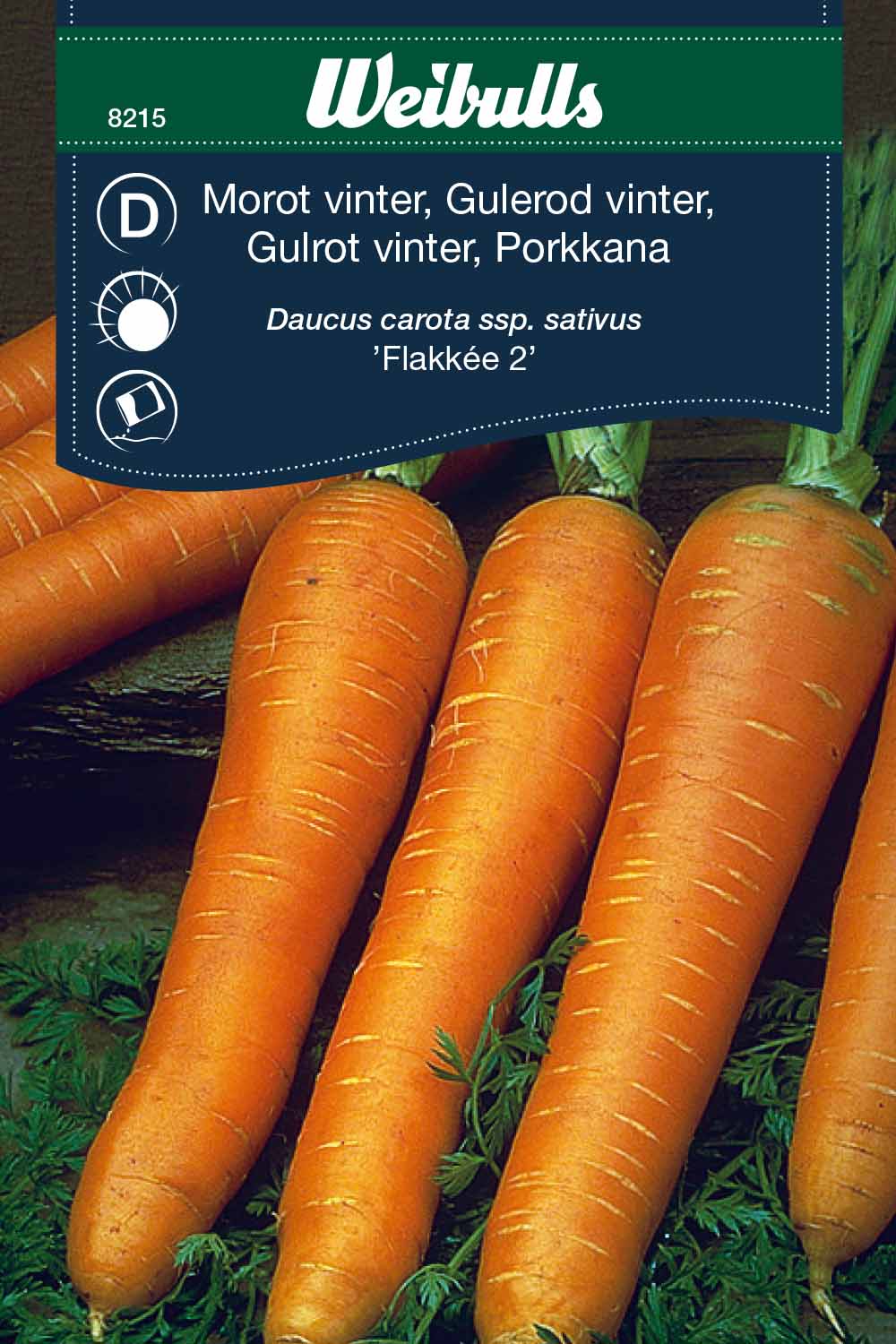Weibulls Morot, vinter- ’Flakkée 2’