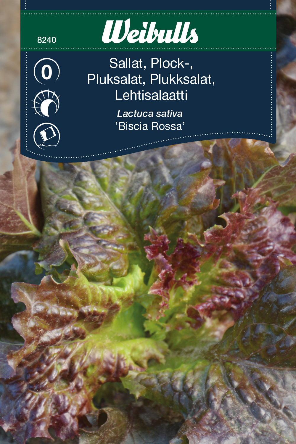 Weibulls Sallat, plock-  'Biscia Rossa'
