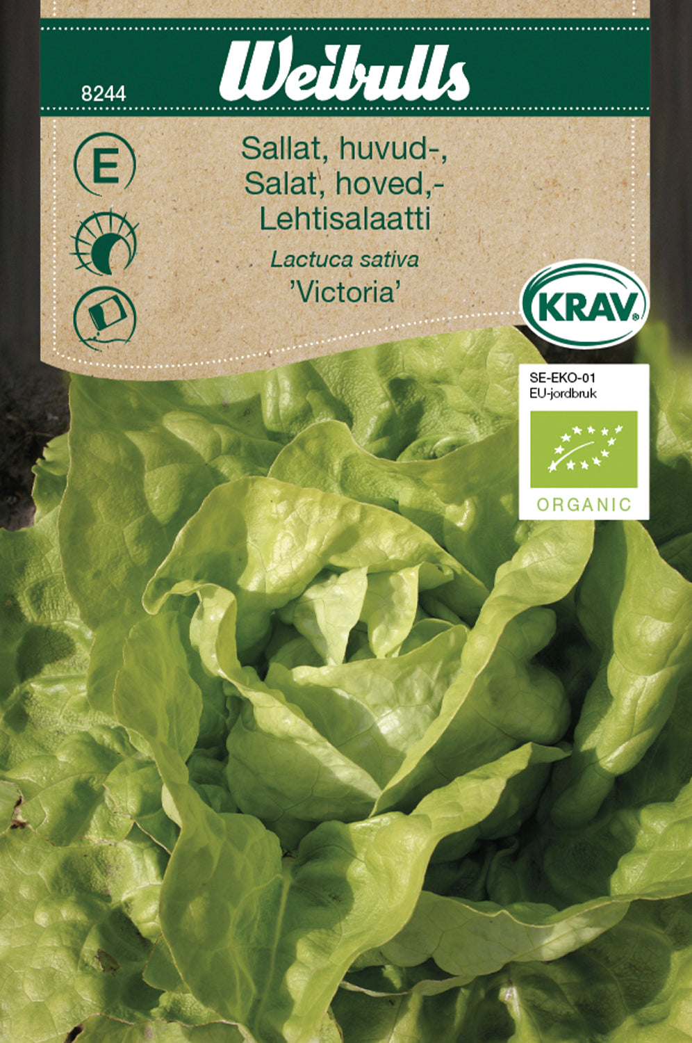 Weibulls Sallat, huvud- KRAV 'Victoria'
