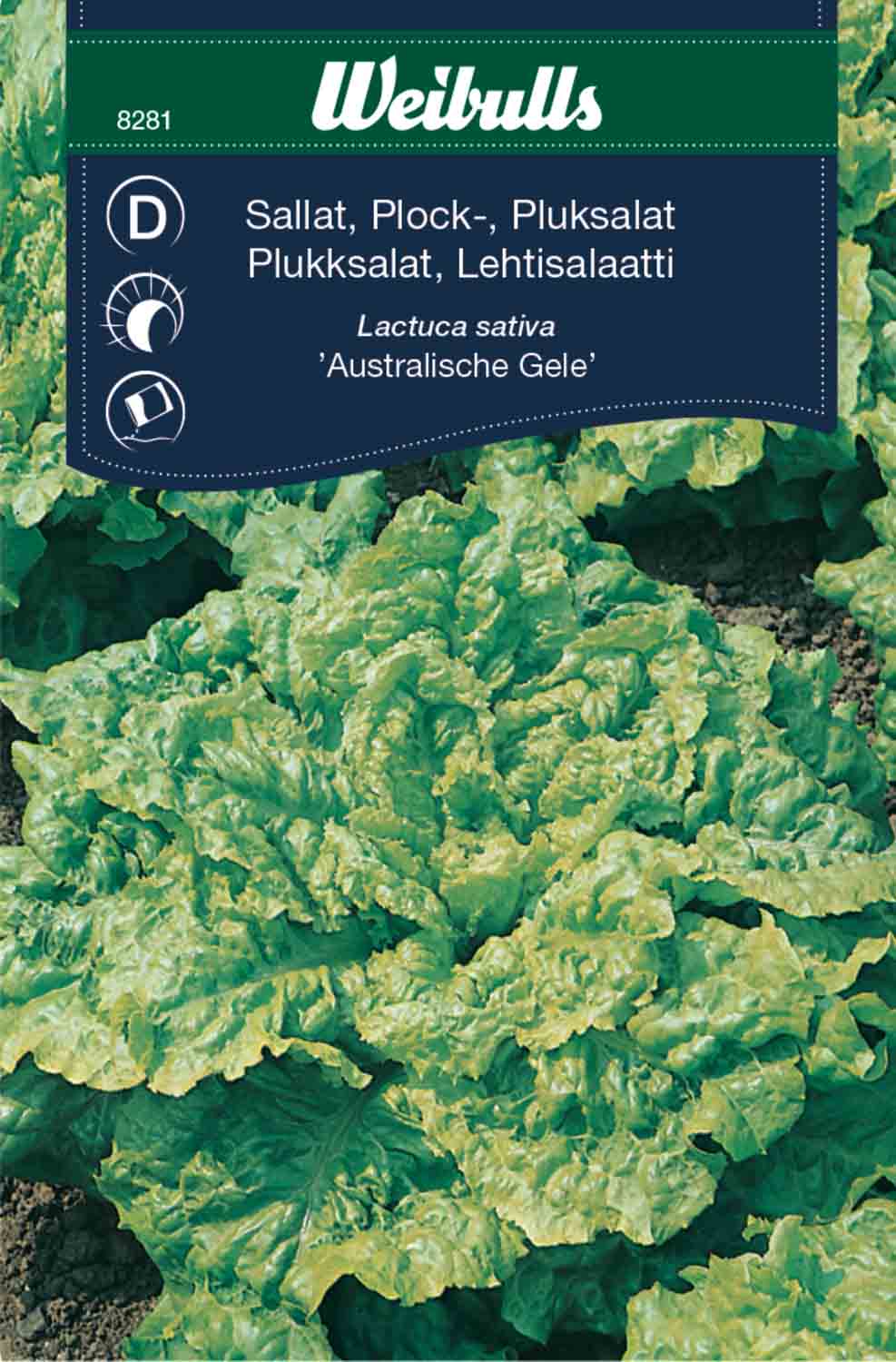 Weibulls Sallat, plock-  'Australische Gele'