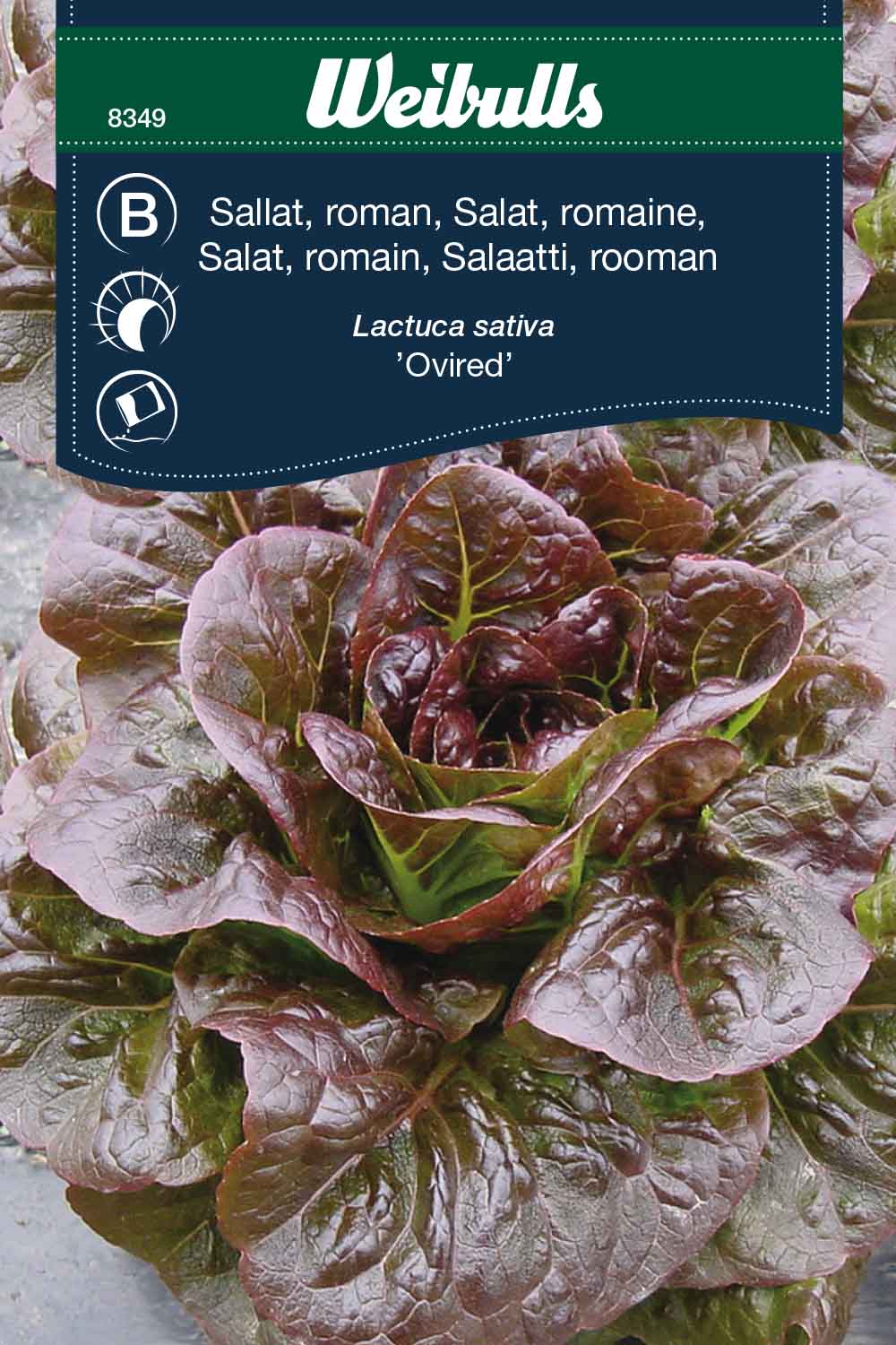 Weibulls Sallat, roman- 'Ovired'
