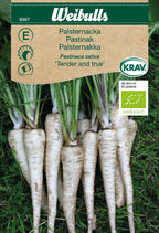 Weibulls Palsternacka KRAV 'Tender and true'