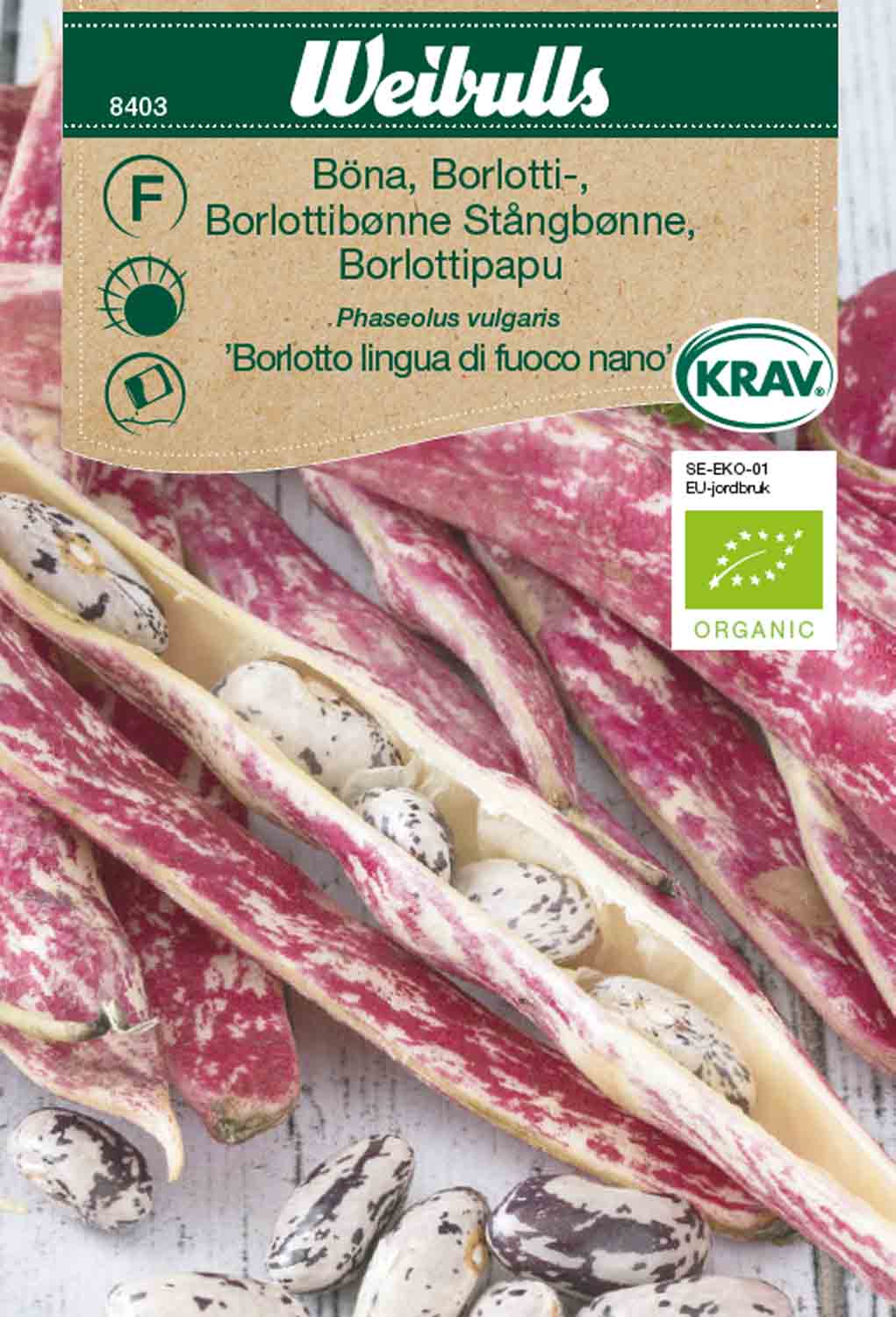 Weibulls Böna, borlotti- KRAV  'Borlotto lingua di fuoco nano'
