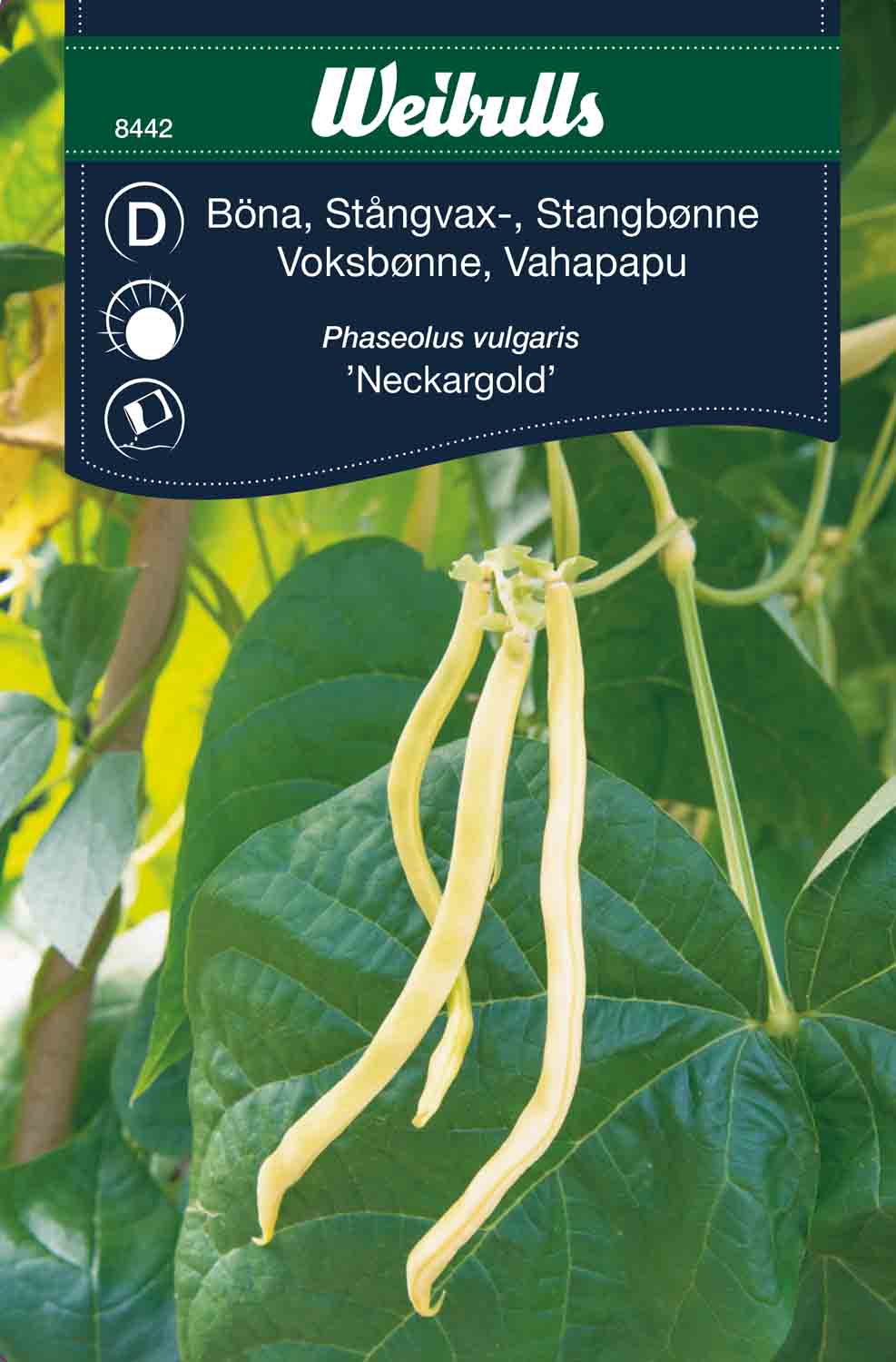 Weibulls Böna, stångvax- 'Neckargold'