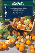 Weibulls Physalis
