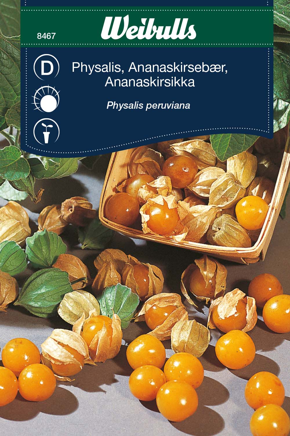 Weibulls Physalis