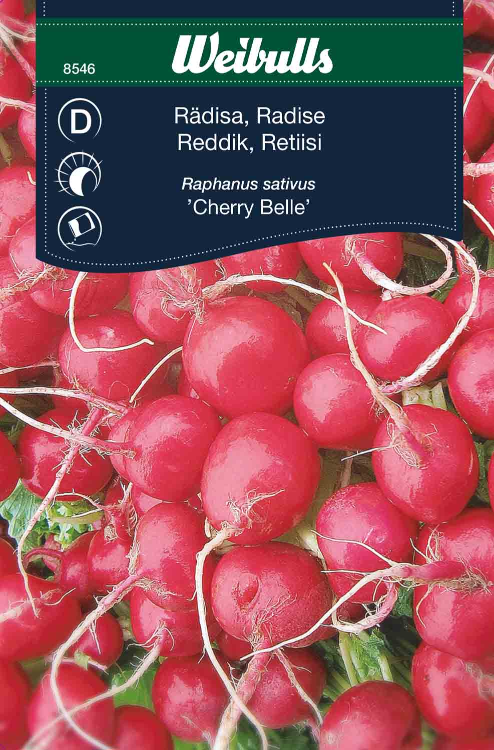 Weibulls Rädisa   'Cherry Belle'