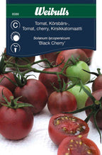 Weibulls Tomat, körsbärs- 'Black Cherry'